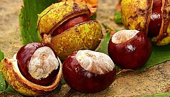 Energie update Geel Zaad levenspad 9 - 21 oktober 2022: Krachtig groeien met kleine stapjes